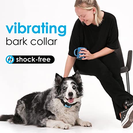 Barko® Collar - No more Barking in one day.